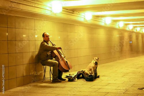 The man with a dog in transition plays a violoncello