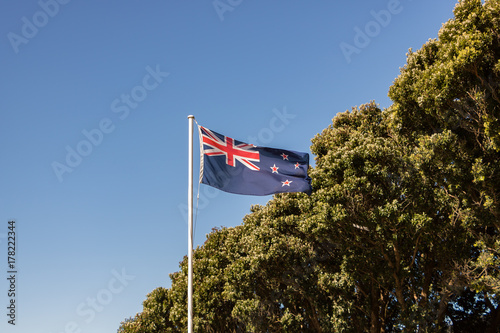 New Zealand Flag With Pohutukawa Trees