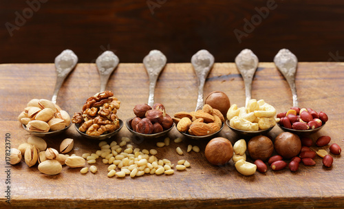 various kinds of nuts (cedar, cashew, hazelnuts, walnuts) in spoons