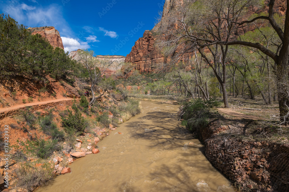Colors and adventure at Zion National Park,  Emerald Pools Trails, The Grotto, Angels Landing, Utah, USA
