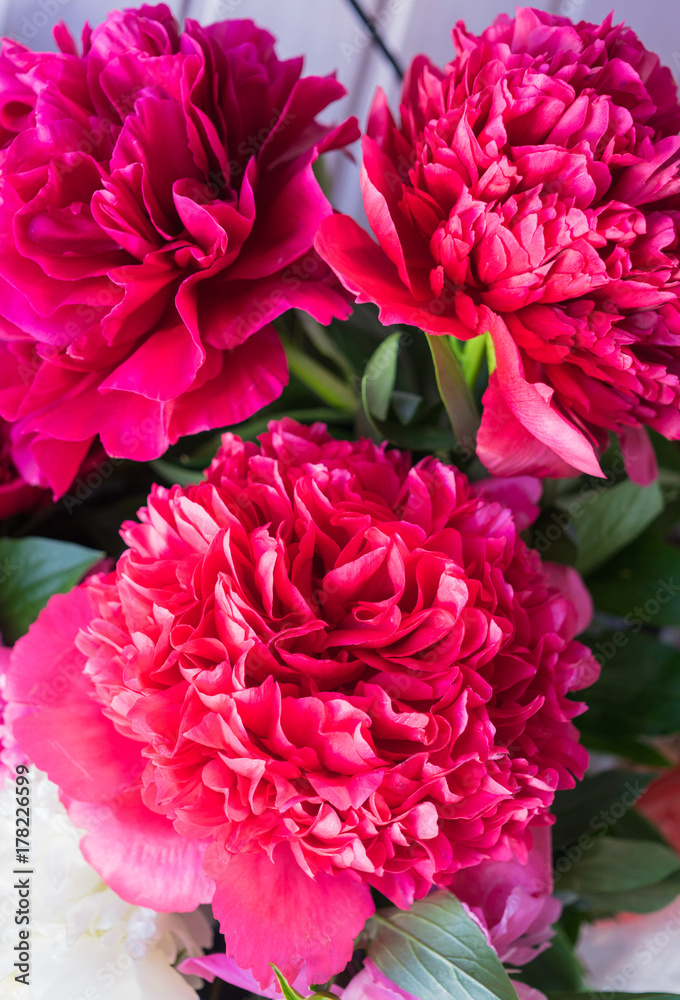 a bouquet of luxurious red peonies in a vase.