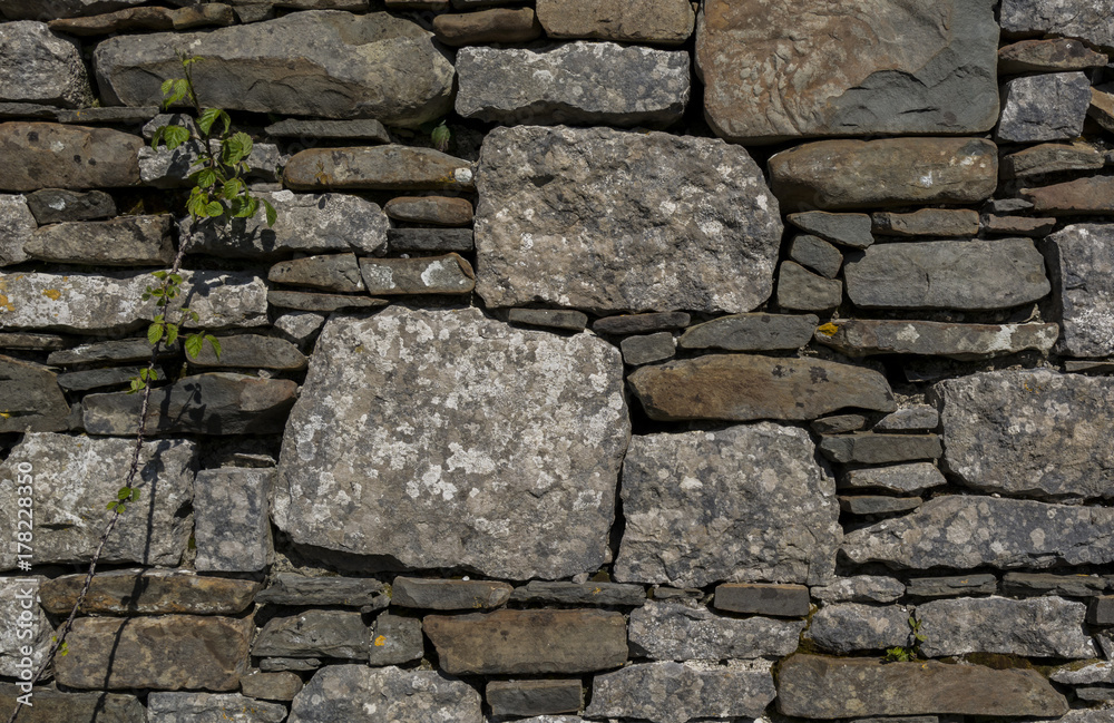 STONE WALL BACKGROUND