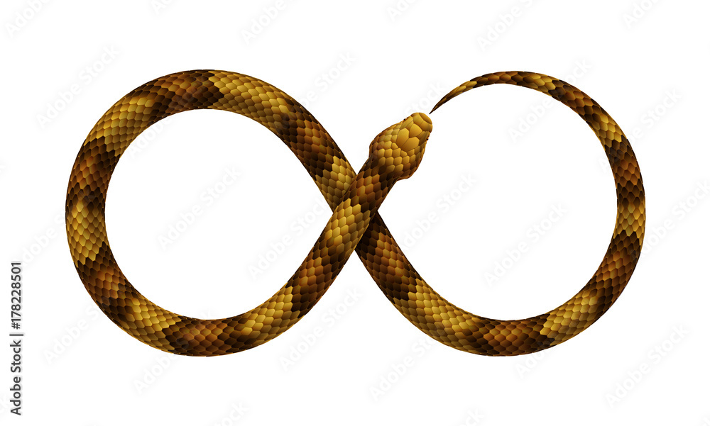 Obraz premium Vector Snake bites it's tail in the form of a sign of infinity.
