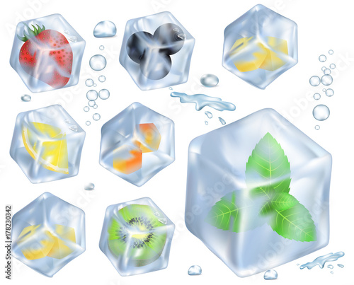Fruits, Berries and Herb in Ice Illustrations