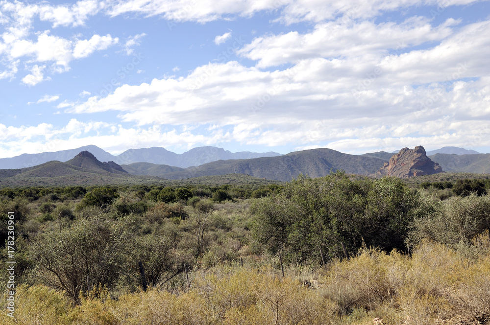 Obraz premium Thick Forest and Mountain Range Under Cloudy Blue Sky