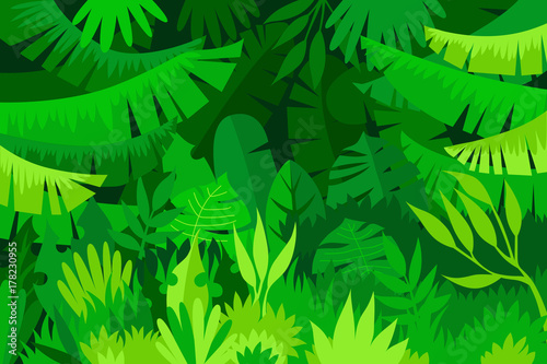 tropical forest. jungle. landscape.