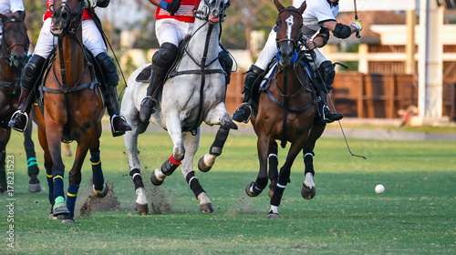 Horses Running In a Polo