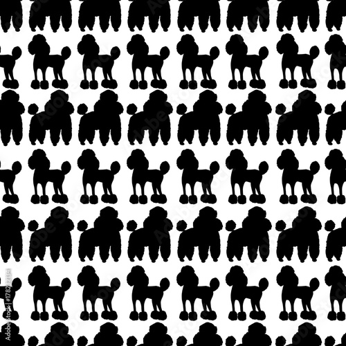 Funny hand drawing black white poodle seamless pattern, vector cartoon dog.