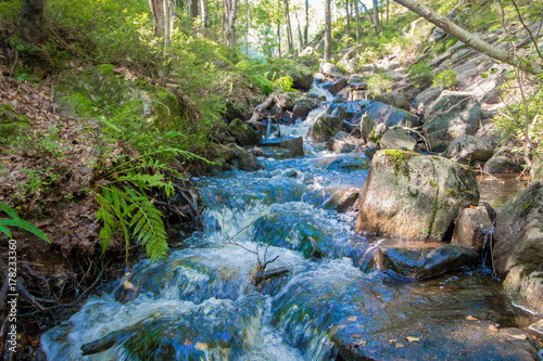 Small stream waterfall in Norway. Mid summer colors.