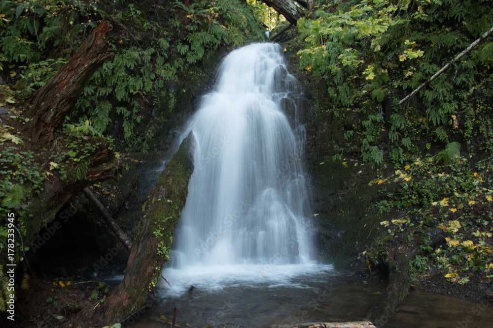 Fototapeta premium Waterfall in the forest