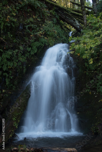 WaterFalls in the forest © Prestonclicks 