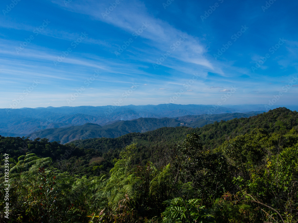 The blue sky with green forest, normal nature to prevent global warming in Chiangmai, Thailand. The blue sky with green forest, normal nature to prevent global warming in Chiangmai, Thailand.
