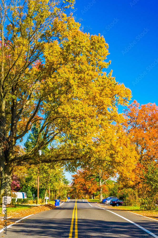 Naklejka premium Colors of the fall