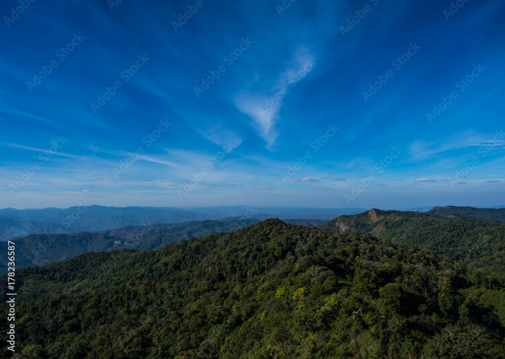 Method to reduce global warming is this green forest up hill in Chiangmai, Thailand.