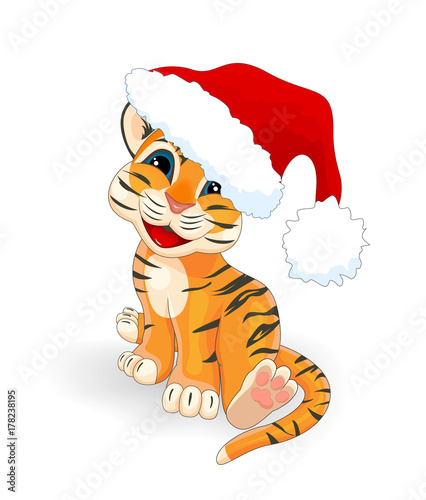 Fototapeta Naklejka Na Ścianę i Meble -  Tiger with a hat