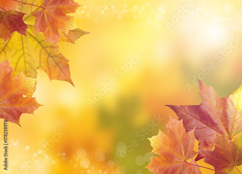 Blurred bright autumn background. Abstract colorful bokeh