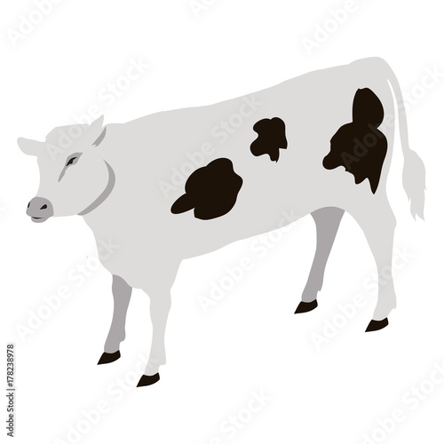 Calf Young of Domestic Cattle Vector Illustration photo