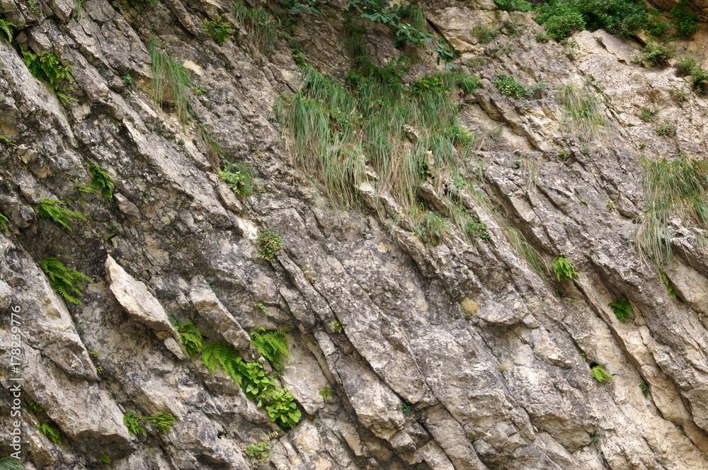 Stone wall with greenery. Texture of nature. Background for text, banner, label. Stone wall with greenery. Texture of nature. Background for text, banner, label.