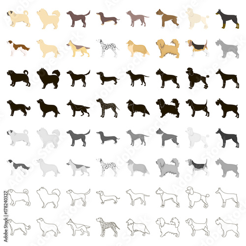Dog breeds set icons in cartoon style. Big collection dog breeds vector symbol stock illustration