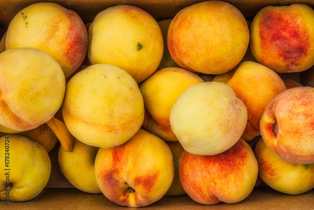 Fresh Peaches Fresh Peaches