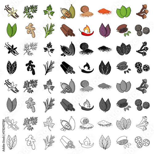 Herb and spices set icons in cartoon style. Big collection of herb and spices vector symbol stock illustration