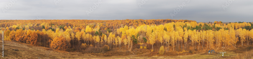 Autumn forest october panorama Autumn forest october panorama
