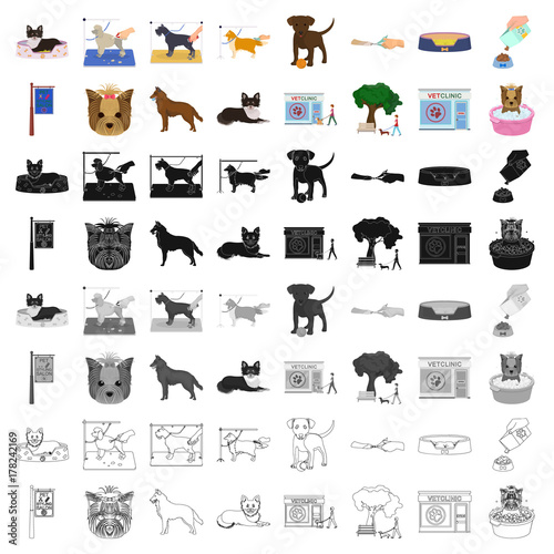 Walking with a dog, a vet clinic, a dog haircut, a puppy bathing, feeding a pet. Vet clinic and pet care set collection icons in cartoon style vector symbol stock illustration web.