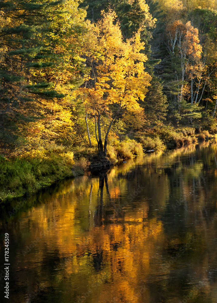 The Golden Hour