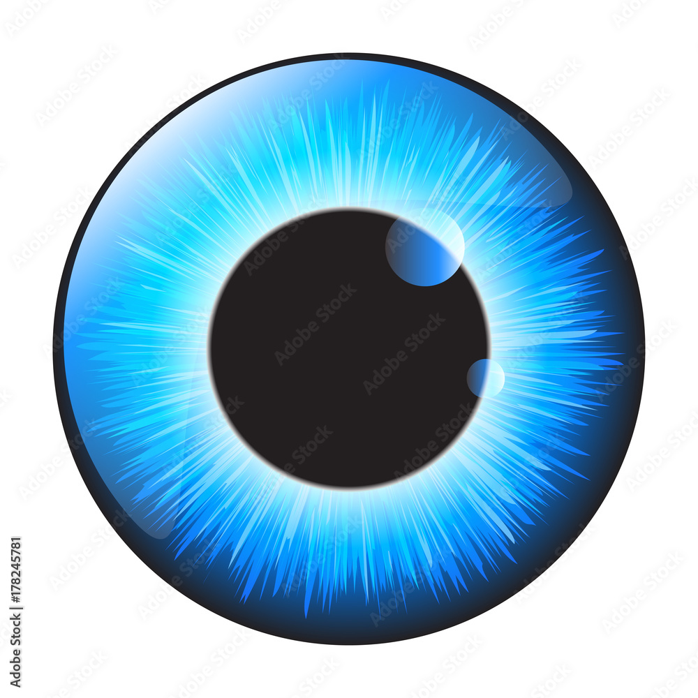 Blue iris eye realistic vector set design isolated on white background Blue iris eye realistic vector set design isolated on white background