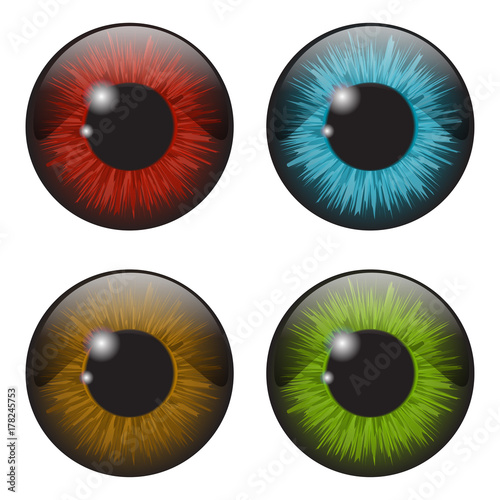 iris eye realistic  vector set design isolated on white background