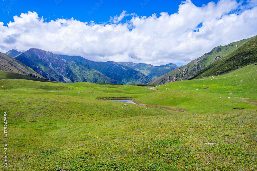 View over valley from the horse back, Kyrgyzstan