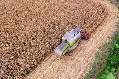 Aerial drone view on corn harvesting.