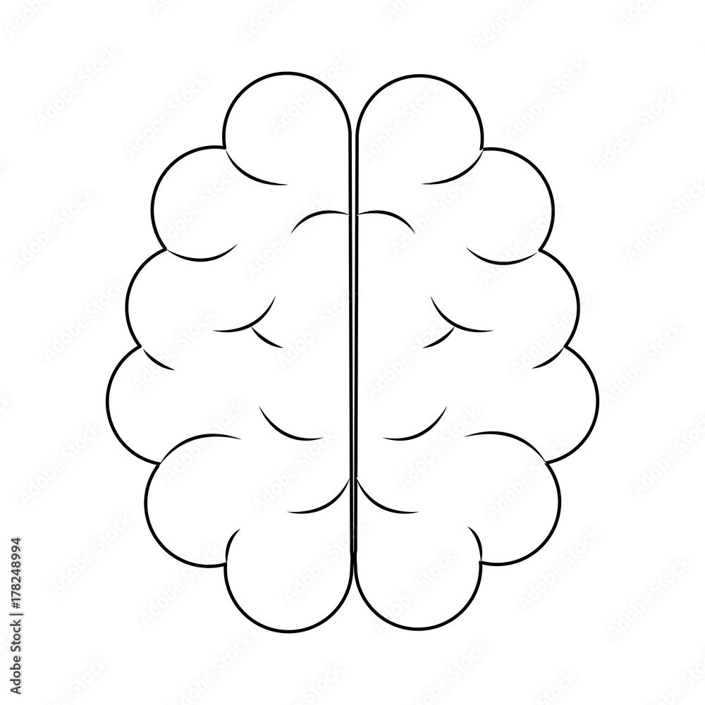 human brain icon