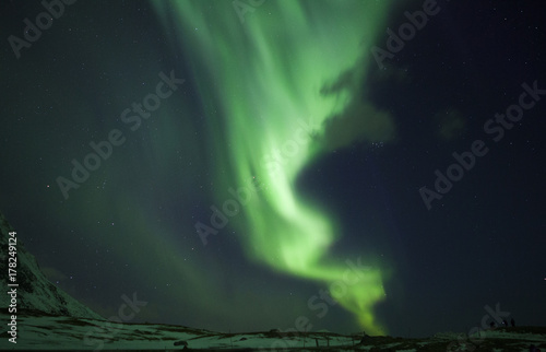 Northern lights (Aurora borealis) over the mountains. Norway, Lofoten © vitaprague