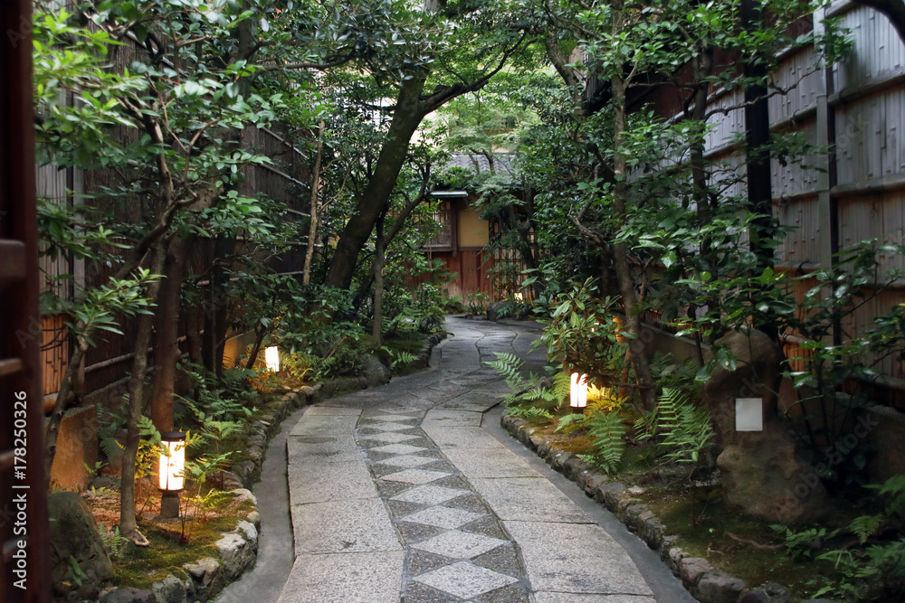Garden in Gion
