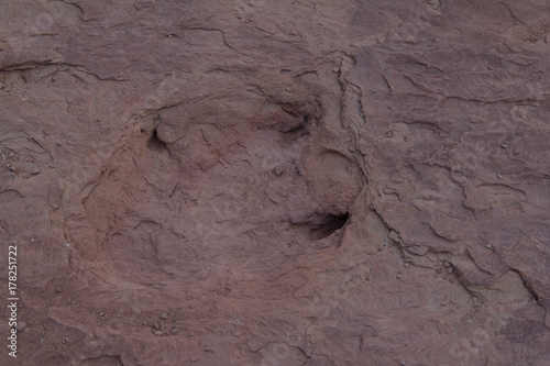 Dino footprint