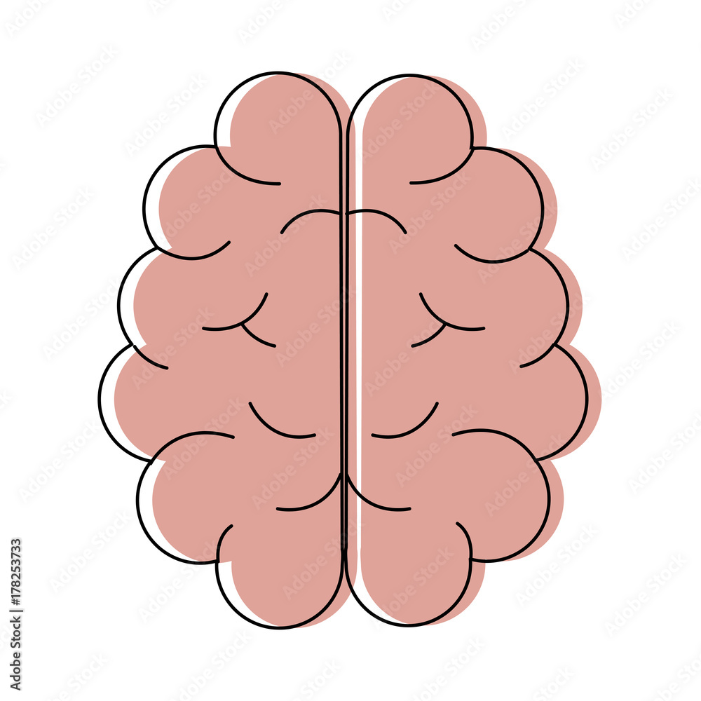 human brain icon human brain icon