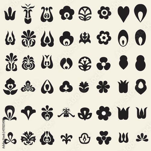 folk elements vector collection