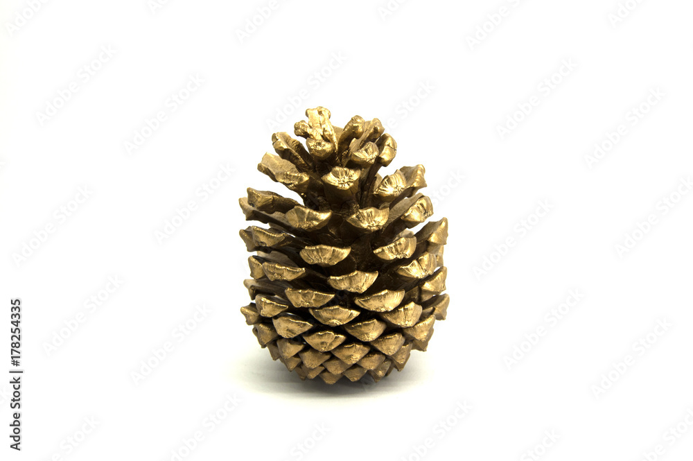 golden pine cone on a white background golden pine cone on a white background
