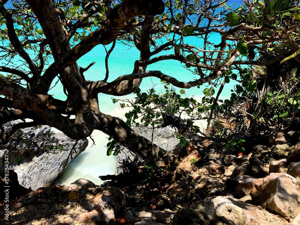 Fototapeta premium Einsamer Strand