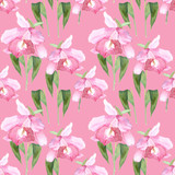 Pink orchid, cattleya on pink background. Seamless watercolor pattern