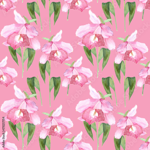 Pink orchid  cattleya on pink background. Seamless watercolor pattern