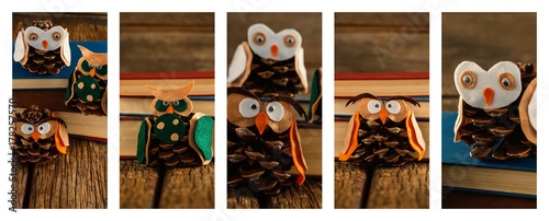 Owls in pine cone