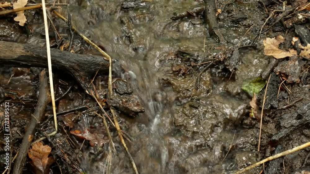 Pure freshwater stream in the deciduous forest in autumn. Mountain Creek. Stones and rocks along water stream flowing through autumn forest Pure freshwater stream in the deciduous forest in autumn. Mountain Creek. Stones and rocks along water stream flowing through autumn forest