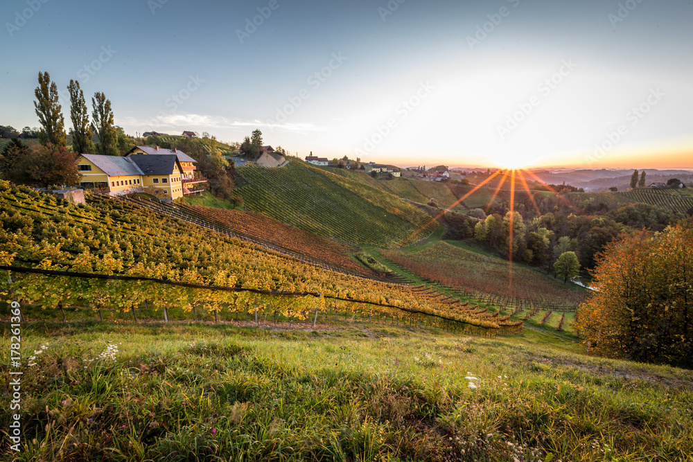 Sonnenaufgang in der Steiermark mit Blick auf die Weinberge