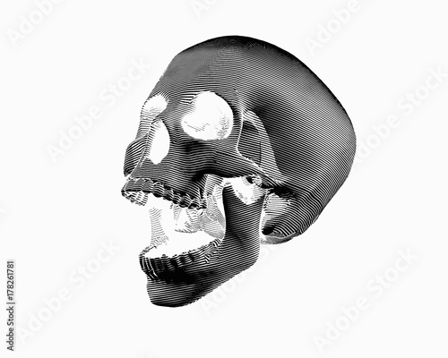 Engraving skull illustration scream on white BG