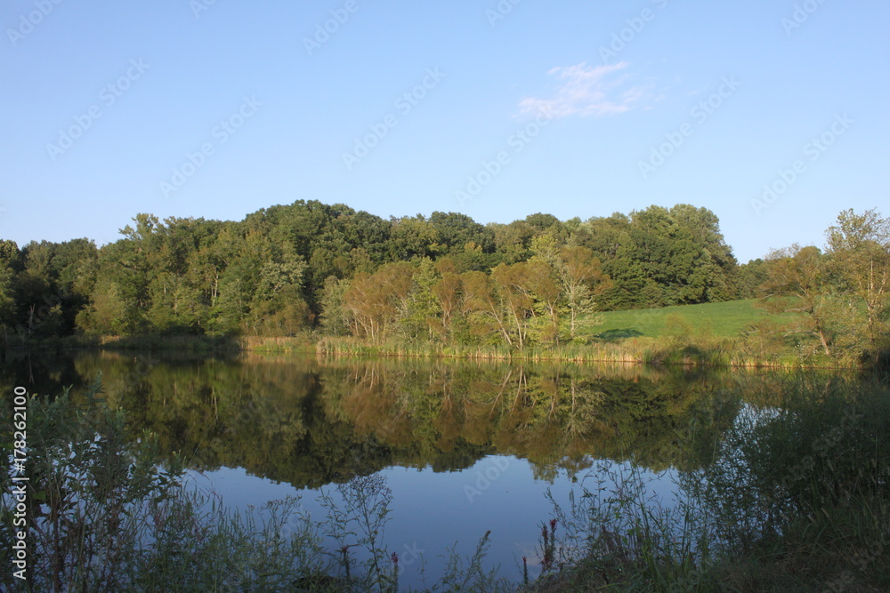 Pond in southern Virginia