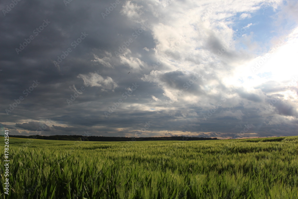Grünes Feld, Stürmischer Himmel Grünes Feld, Stürmischer Himmel