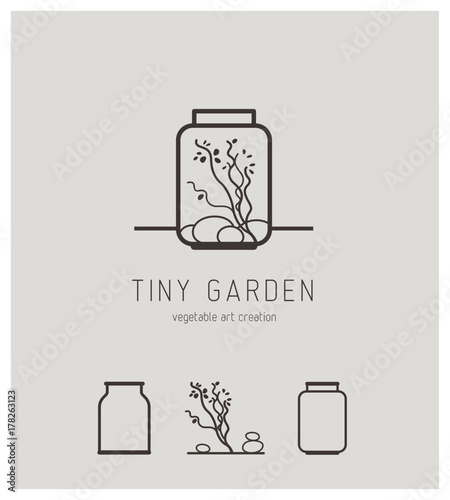 jardin, miniature, composition, terrarium, art créatif, création, bocal, vase