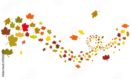 Maple leafs silhouette autumn wind